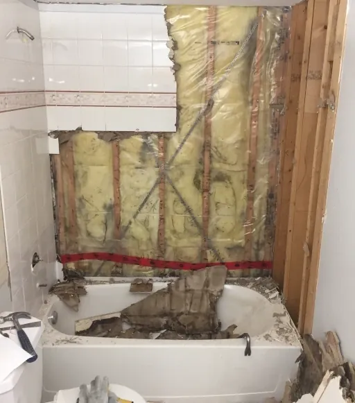 Bathtub shower wall remodel-black mold on drywall