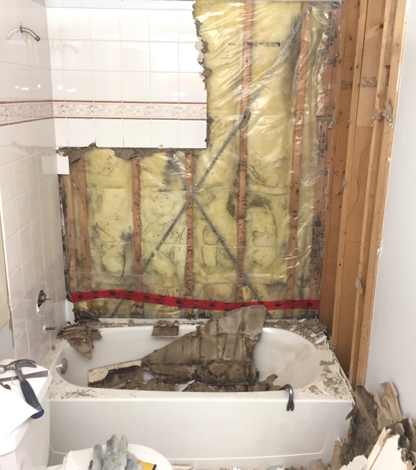 Crumbling, wet and moldy shower drywall backer board exposed during demolition